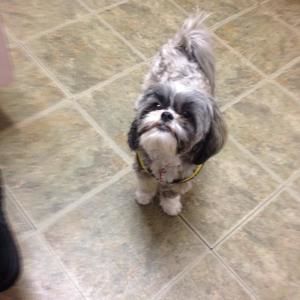 Meet your Posher, Elijah